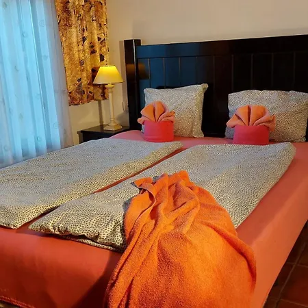 Guenstiges An Der Strasse איקוד דה לוס וינוס