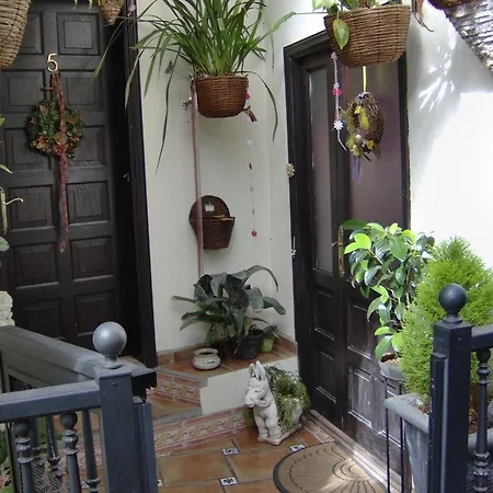 Guenstiges An Der Strasse * איקוד דה לוס וינוס