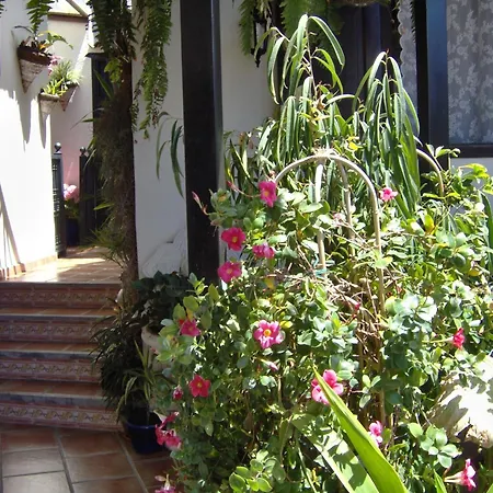 Guenstiges An Der Strasse דירה