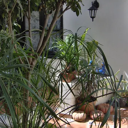 Guenstiges An Der Strasse *